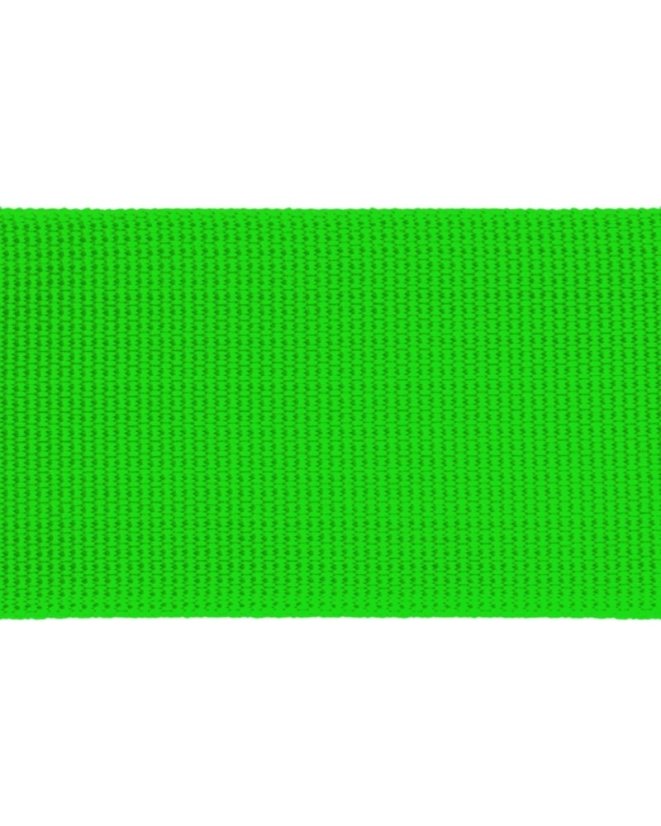 Světle zelený popruhový obojek se sponou