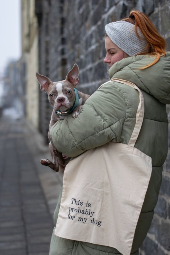 Nákupní taška SHOPPER s výšivkou