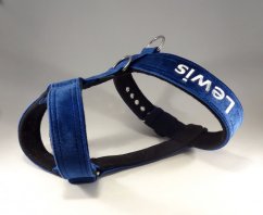 Modrý sametový pevný